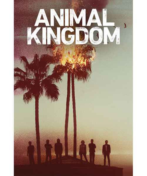 ANIMAL_KINGDOM_X_SITO